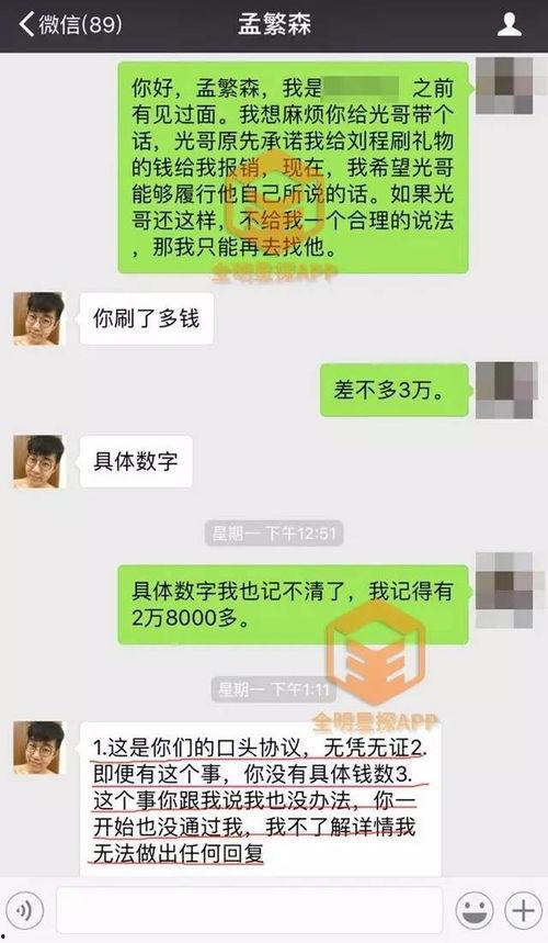 刘大美前夫爆料视频,揭秘婚姻内幕与情感纠葛  第3张