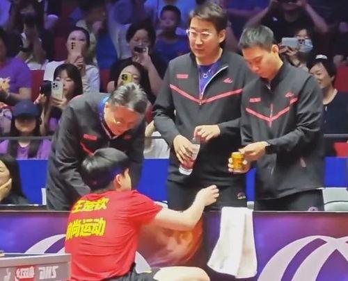 最新爆料王楚钦,揭秘乒乓球天才背后的故事与挑战”