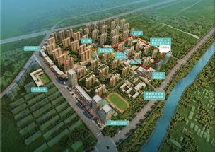 高远森林城最新爆料,揭秘生态宜居新地标背后的故事  第3张