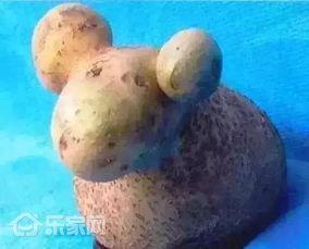 小羊最新爆料网站是什么,小羊最新爆料网站大起底！  第2张