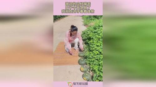 吃瓜急眼视频在线观看免费,揭秘热门话题背后的真相  第2张