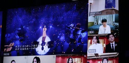 隐藏歌手3号爆料视频,揭秘幕后实力唱将  第3张