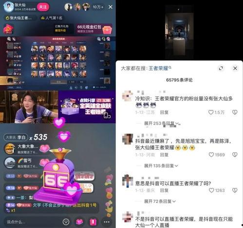 爆料张大仙抖音直播视频,一场视觉与情感的盛宴  第2张